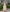Contemporary Midi Dress with Pleated Skirt Detail