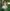 Strapless Flared Dress with Wave Bodice Design