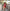 Ethnic Style Geometric Pleated Dress with Wavy Sleeves