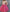 Triangle Print Long Sleeve Blouse with Knee-Length Pleated Skirt Ensemble