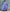 Streamlined Cinched-Waist Shirt Dress with Gathered Skirt