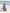 Marine Motif Two-Piece Swimwear
