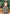 Traditional Flared Skirt Dress with Horizontal Stripe Design